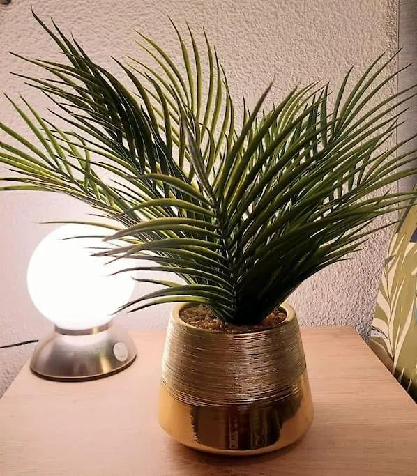 Appartement Zenith-Purpan Parking Gratuit à Toulouse